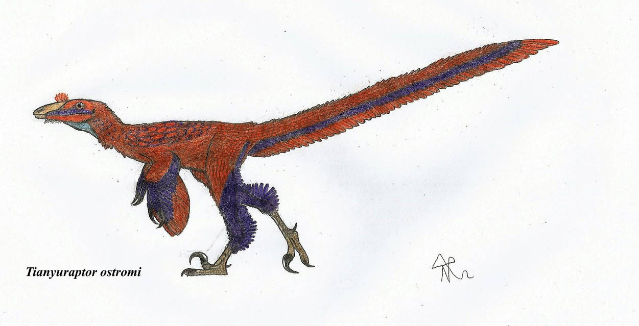 Irregular Raptor The Raptor that has (not so) normal sized arms by NRD23456 on DeviantArt