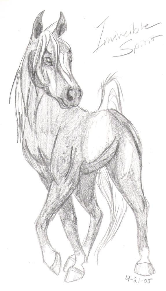 Invincible Spirit by Navina on DeviantArt