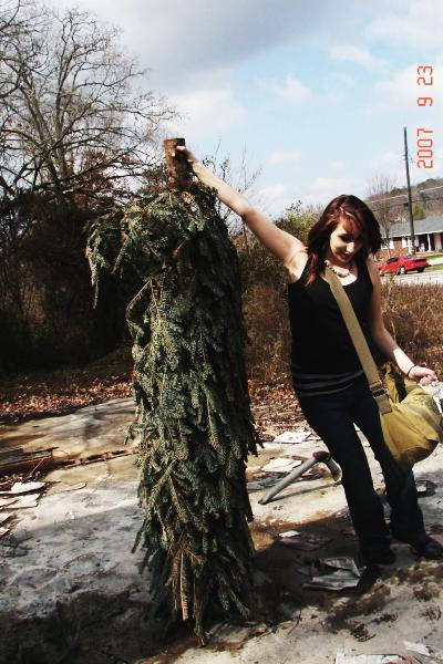 Tree Spinning