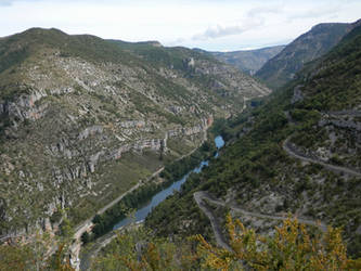 Cevennes - Gorge du Tarn