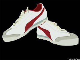 my puma shoes