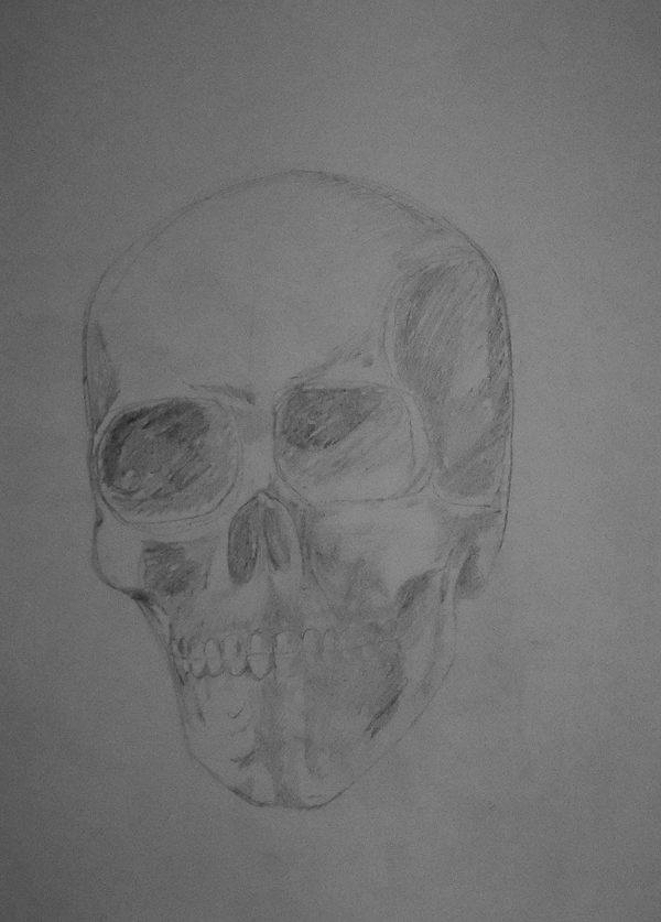 skull