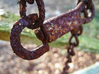 Bob's chain