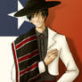 APH Latinoamerica - Huaso