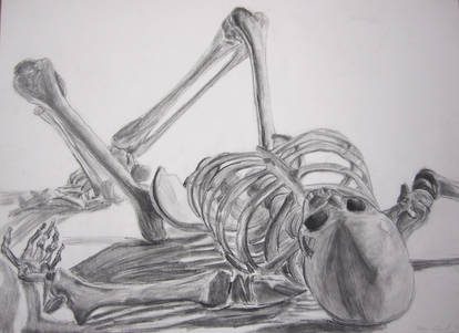 Skeleton Study