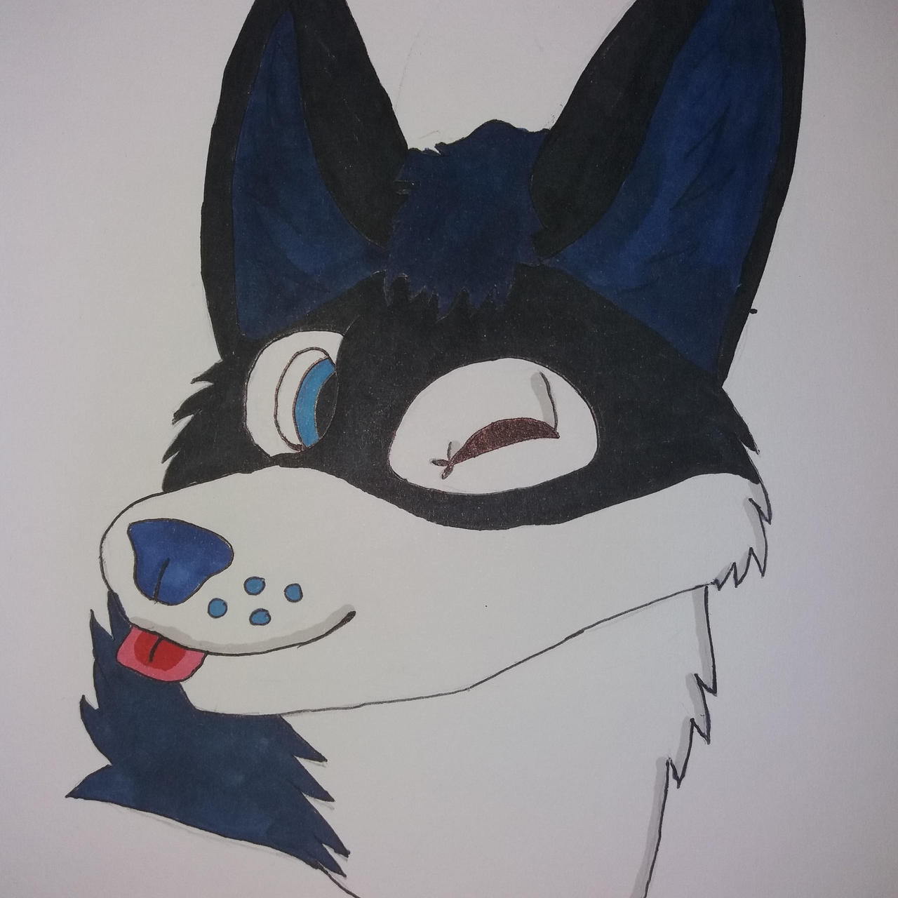 Shadow Fox by AaronCantDraw on DeviantArt