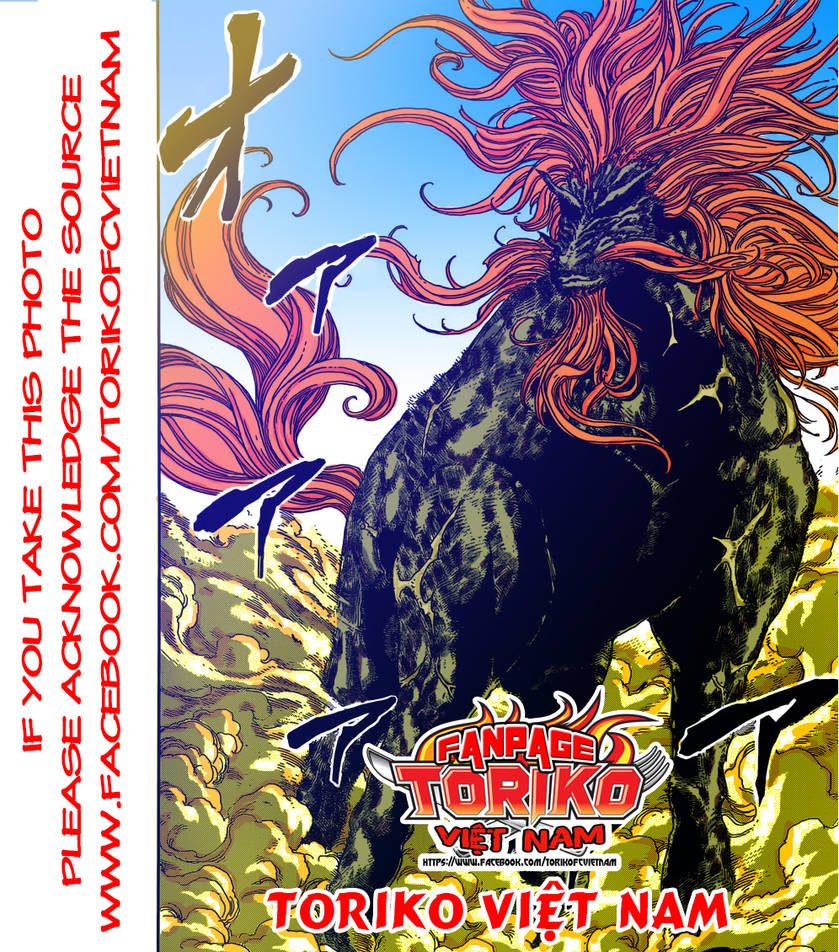 Toriko Color Toriko Color by Toriko Viet Nam ( facebook ) by torikovn on DeviantArt