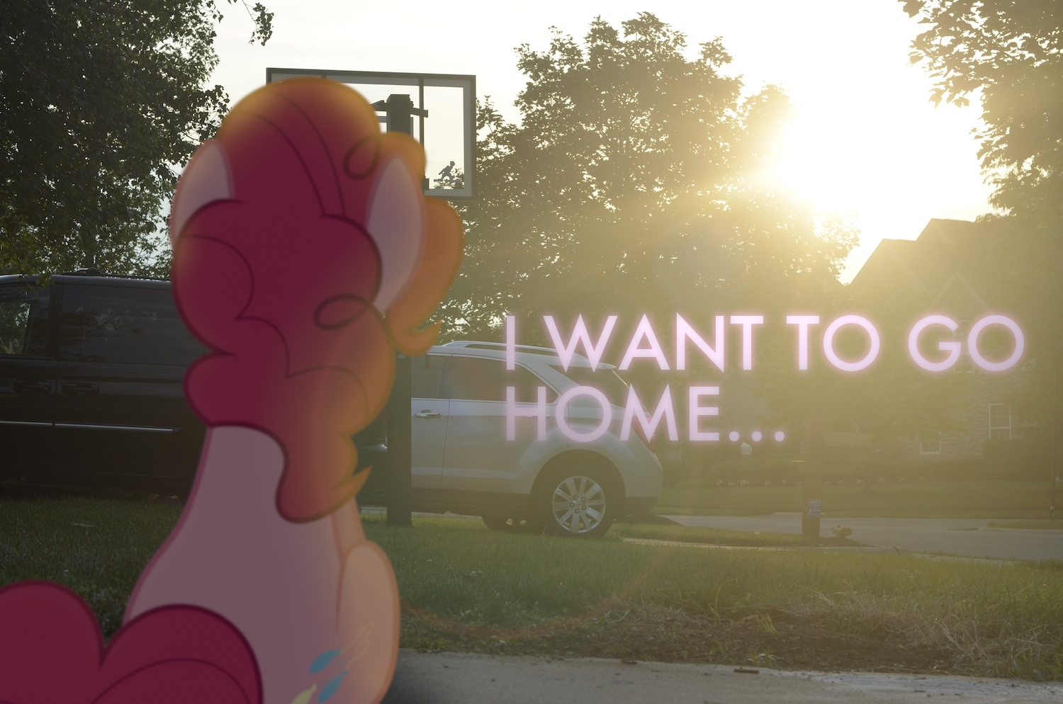 Home by Oppositebros