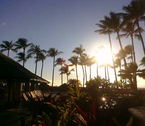 Hawaiian life