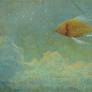 journey of Goldfish