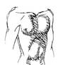 anatomy - torso