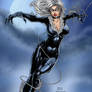 Black Cat
