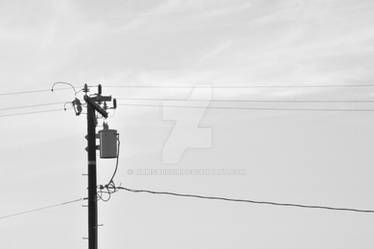 Telephone Pole_03