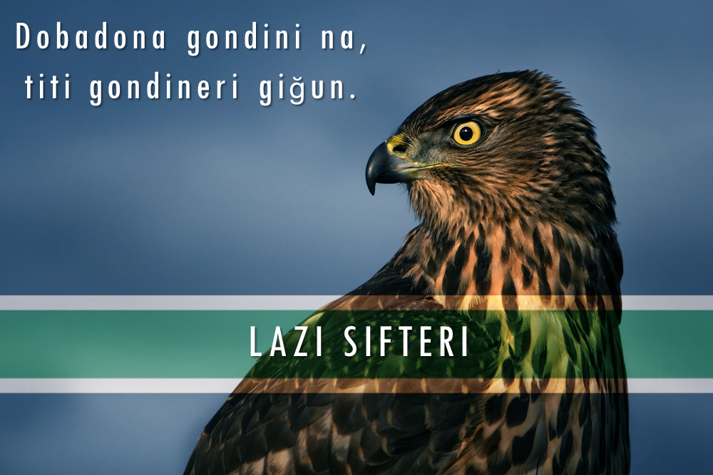 Lazi sifteri