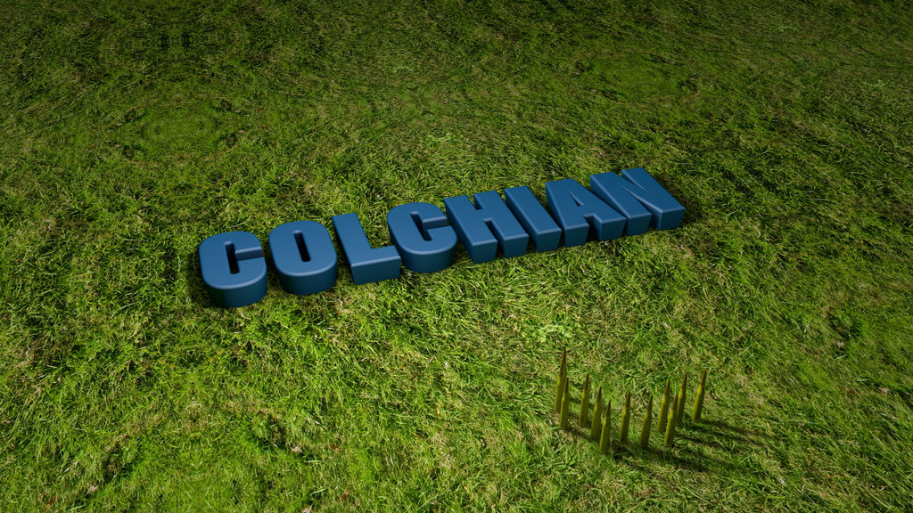Colchian (lazian) wallpaper by SkudasLazepe2012 on DeviantArt
