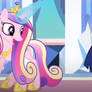 Twilight Sparkle And Princess Cadance