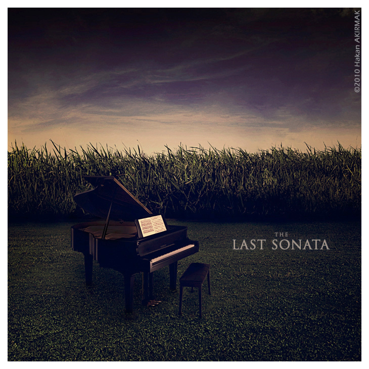 The Last Sonata