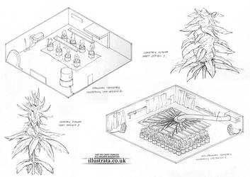 Hydroponics Designs 1