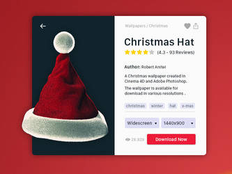 Christmas Hat - Presentation