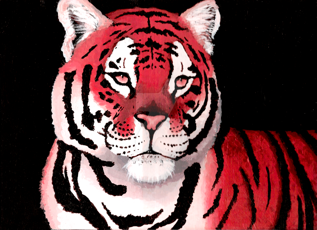 Про красного тигра. Красный тигр. Тигр на Красном фоне. Белый тигр. Тигр рисунок.