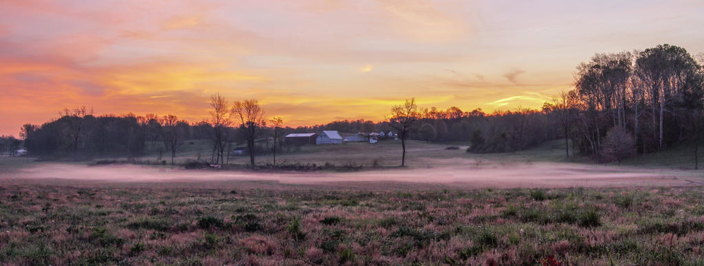 Sunrise Farms