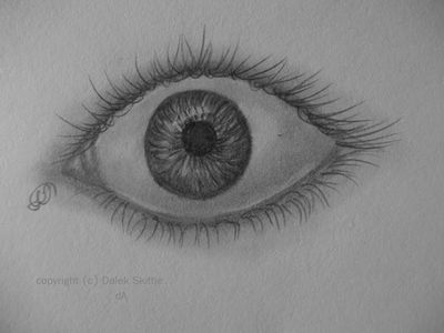 Eye Sketch