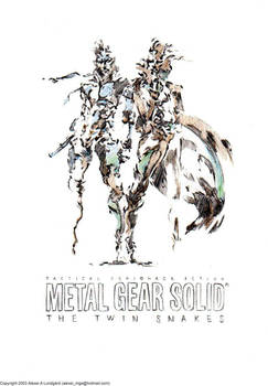 Yoji Shinkawa's Twin Snakes