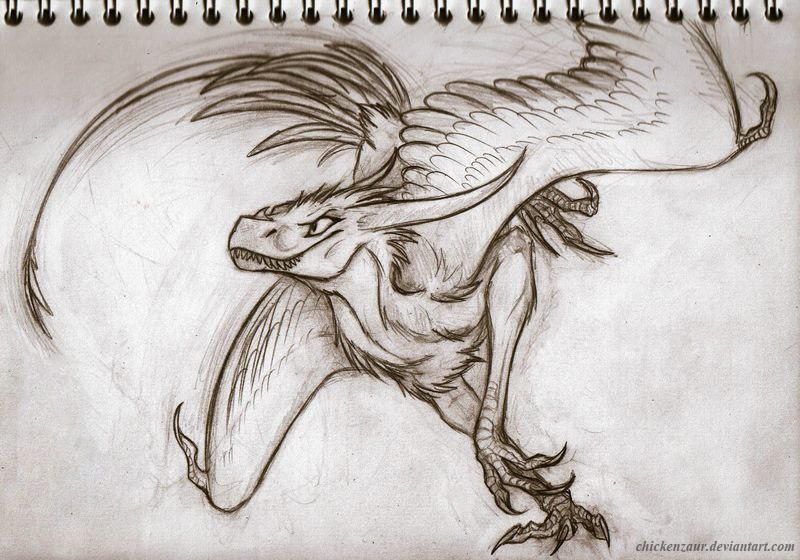 Raptor dragon by Chickenzaur on DeviantArt