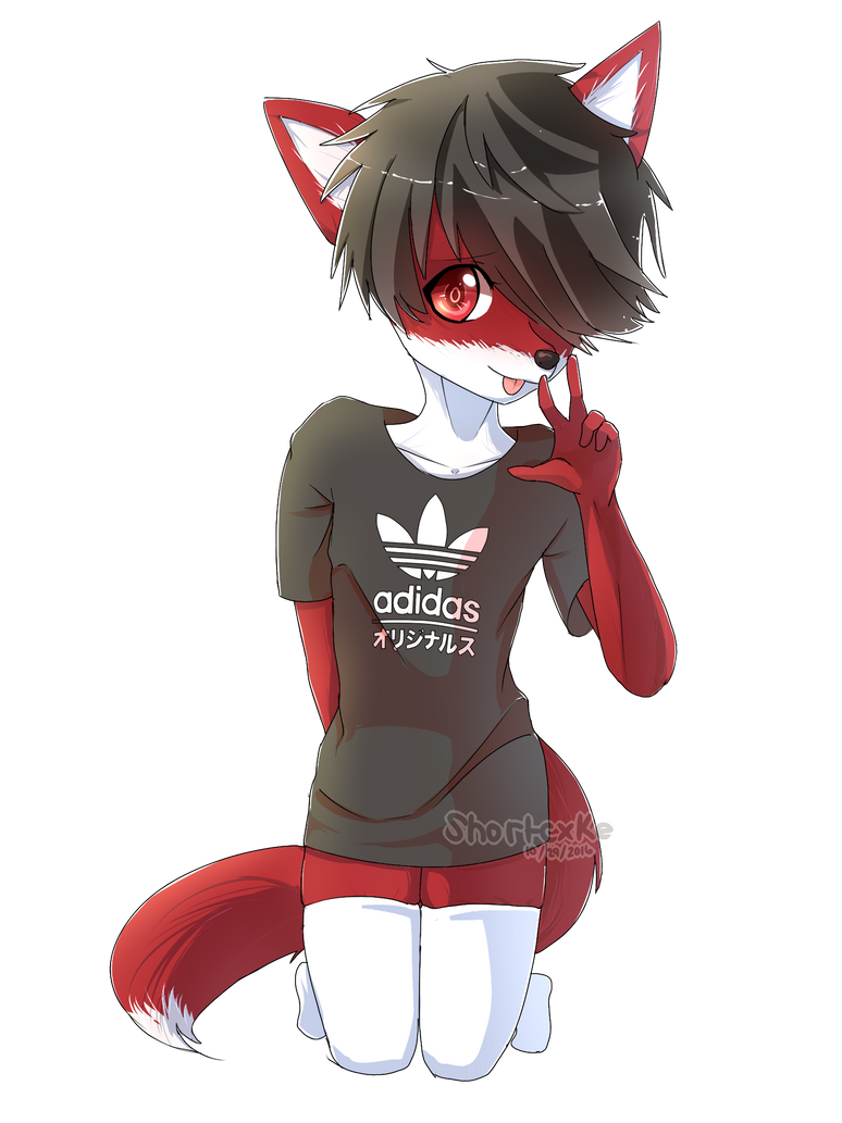 Fox Rabbit Fursona Fox Fursona Commission by Shortcxke on DeviantArt