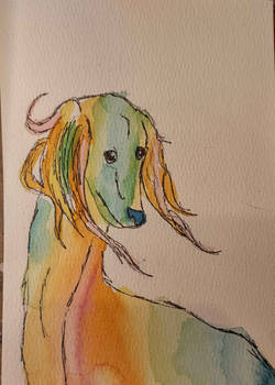 Rainbow Dog