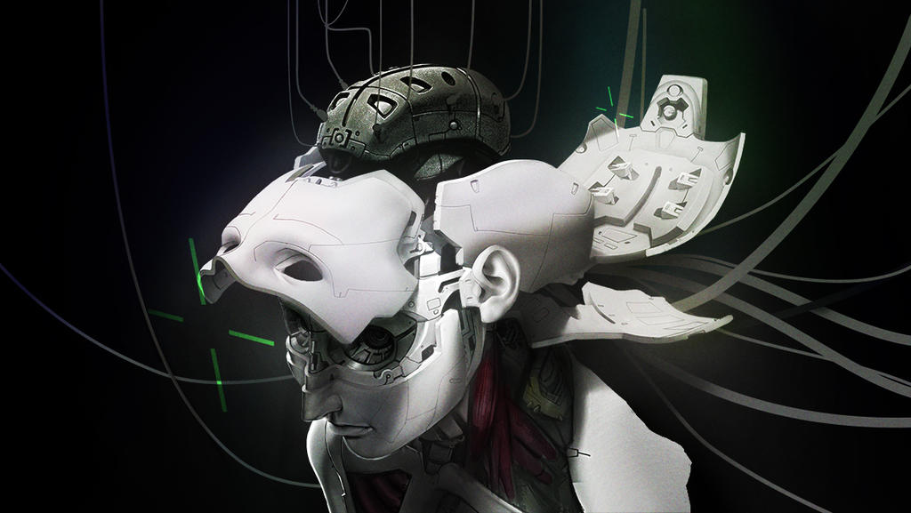 Ghostshell by brokencow on DeviantArt