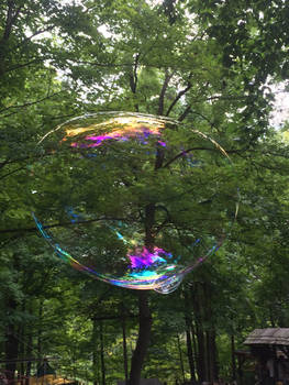 Bubble in the Tree