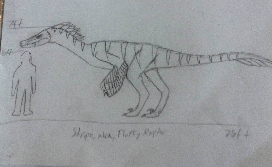 Fluffly Raptor Base Fluffy Raptor update by TactileTheDilo on DeviantArt