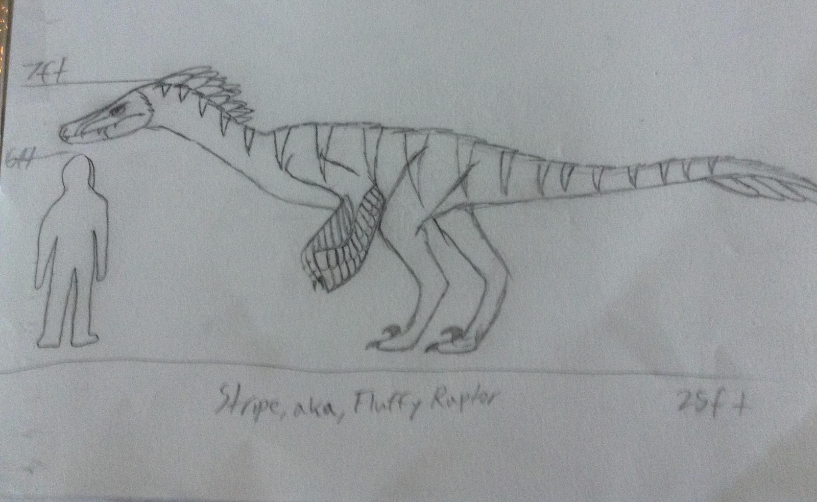 Fluffy Raptor update by TactileTheDilo on DeviantArt