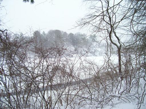 FIRST SNOW 2009.2