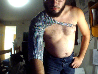 Chainmaille Sleeve