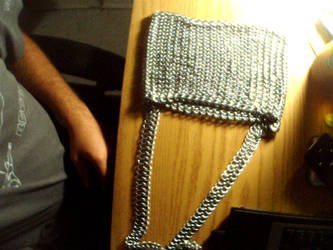 Chainmaille Purse