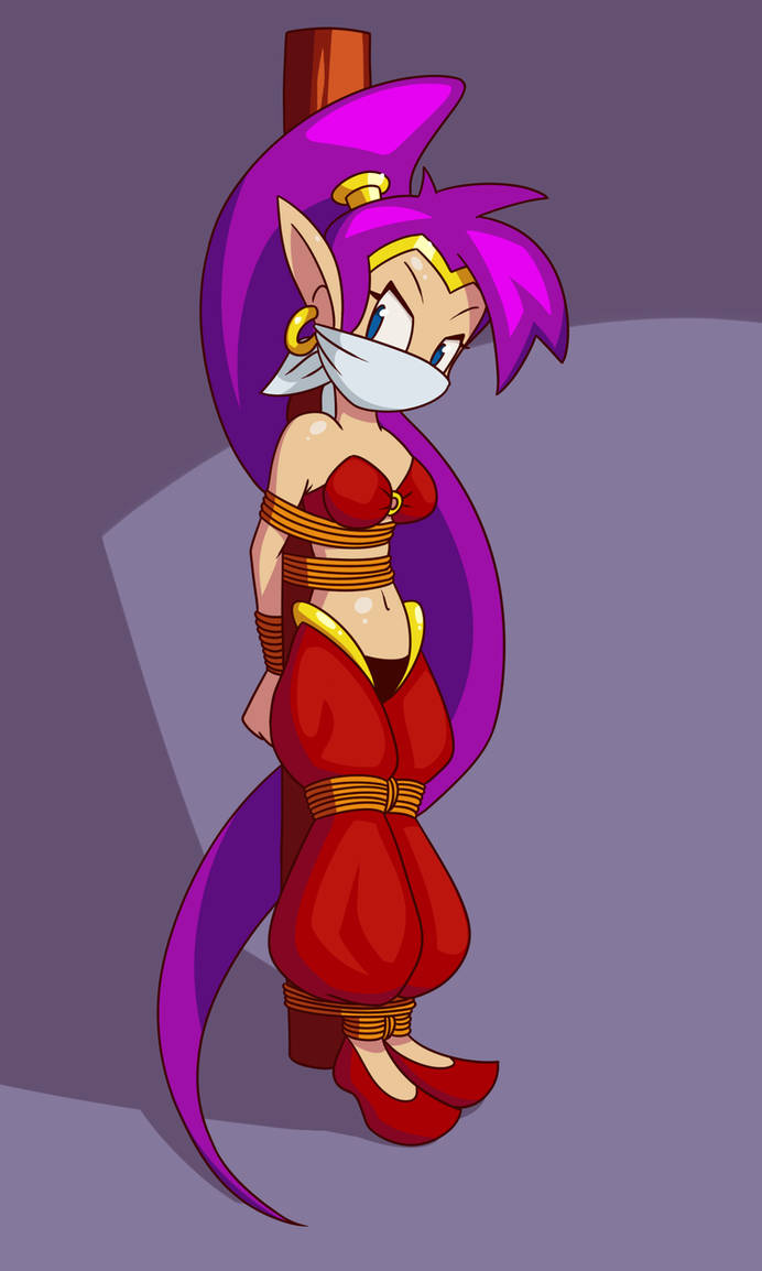 Shantae by Whistle-on-DA on DeviantArt.