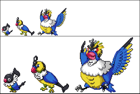 Chatot evolutions