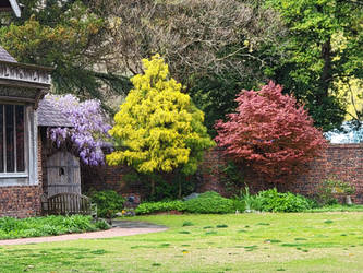 Tri-Color of Spring