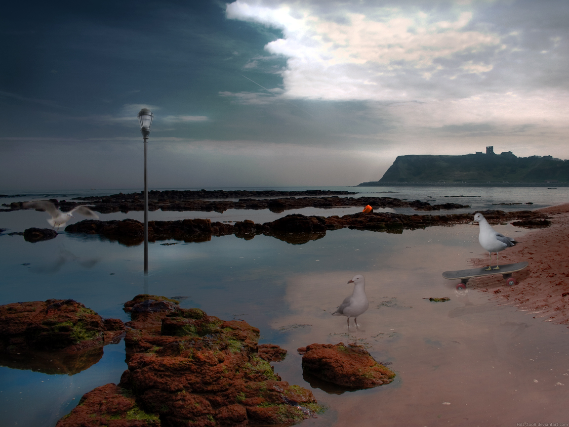 Seagull Beach