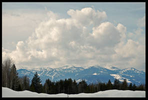 Schweitzer Clouds III