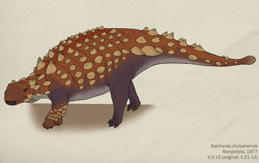 007--SAICHANIA CHULSANENSIS