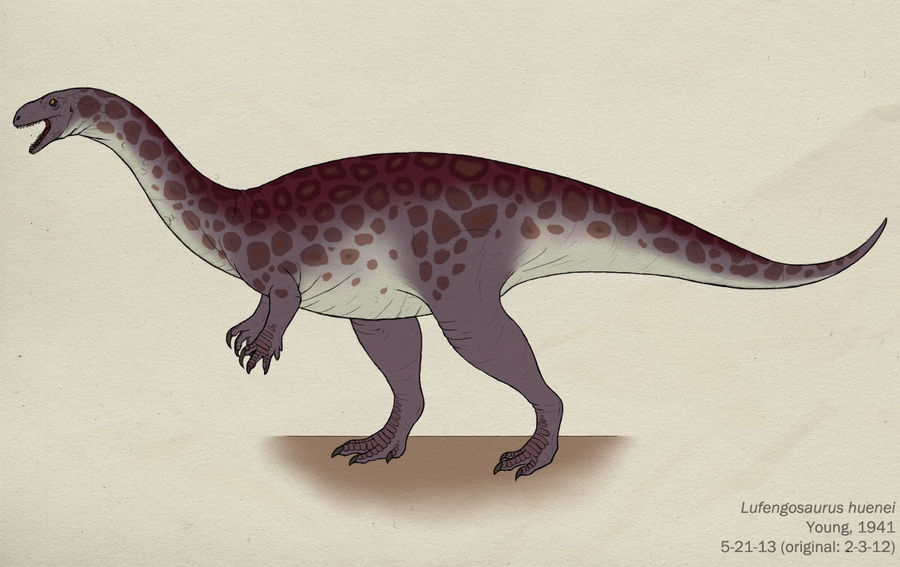 011--LUFENGOSAURUS HUENEI