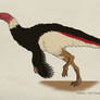 018--STRUTHIOMIMUS ALTUS