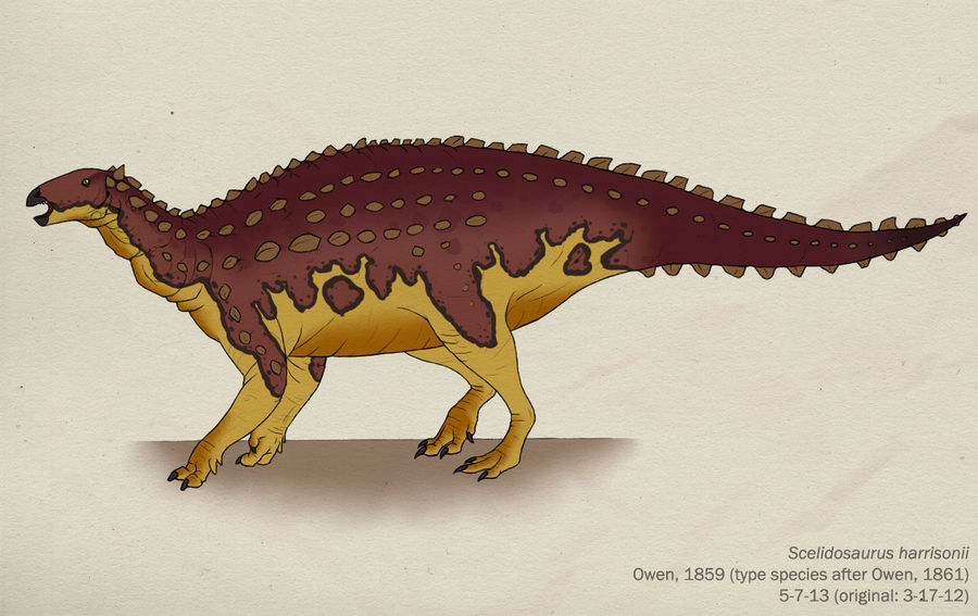 023--SCELIDOSAURUS HARRISONII by Green-Mamba