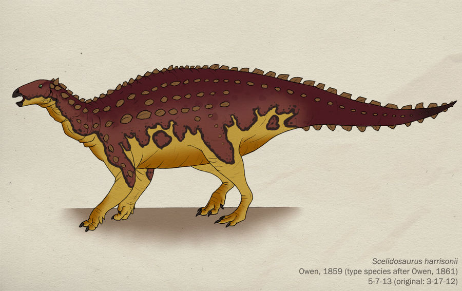 023--SCELIDOSAURUS HARRISONII