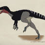 029--PROCERATOSAURUS BRADLEYI