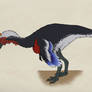 037--CHIROSTENOTES PERGRACILIS