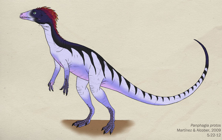 041--PANPHAGIA PROTOS